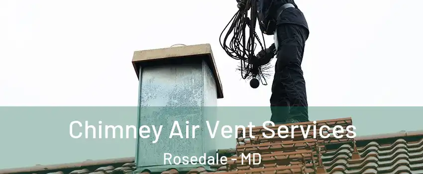  Chimney Air Vent Services Rosedale - MD