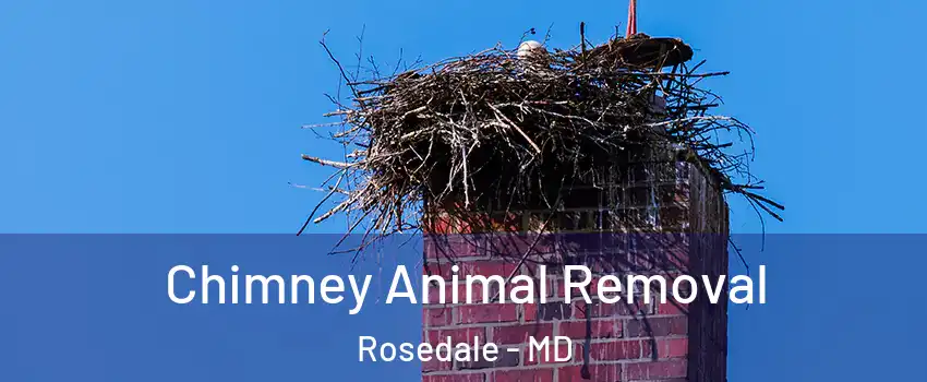  Chimney Animal Removal Rosedale - MD