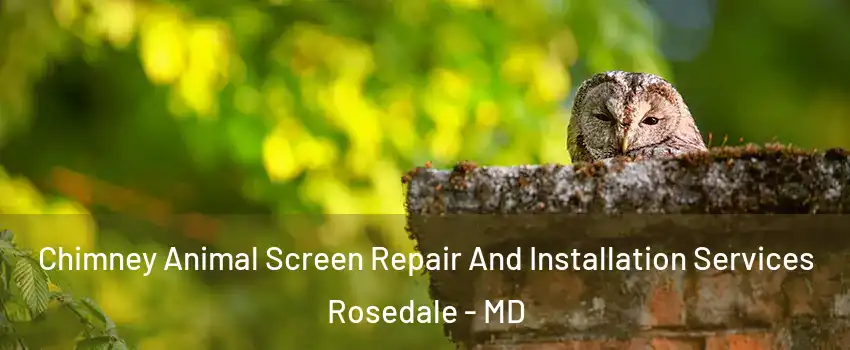 Chimney Animal Screen Repair And Installation Services Rosedale - MD