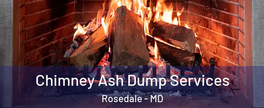  Chimney Ash Dump Services Rosedale - MD