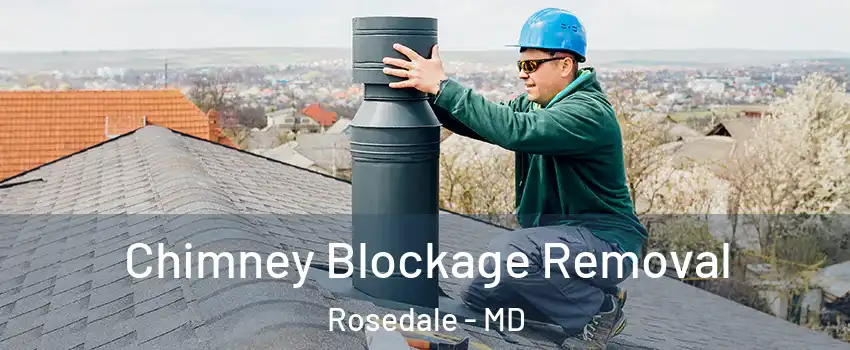  Chimney Blockage Removal Rosedale - MD