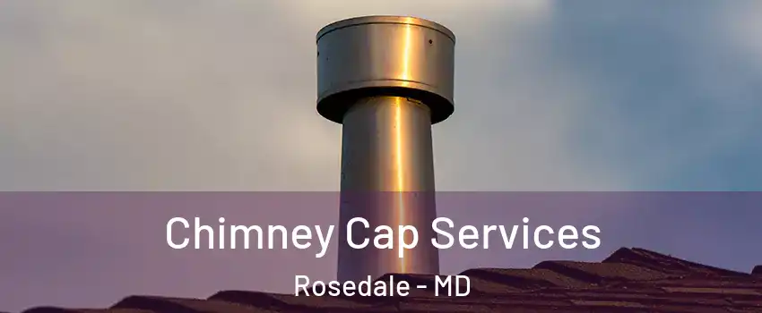  Chimney Cap Services Rosedale - MD