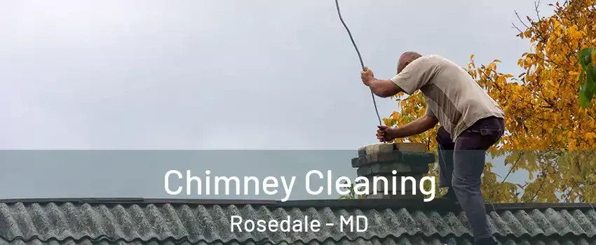  Chimney Cleaning Rosedale - MD