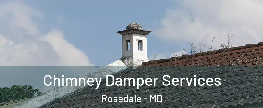  Chimney Damper Services Rosedale - MD