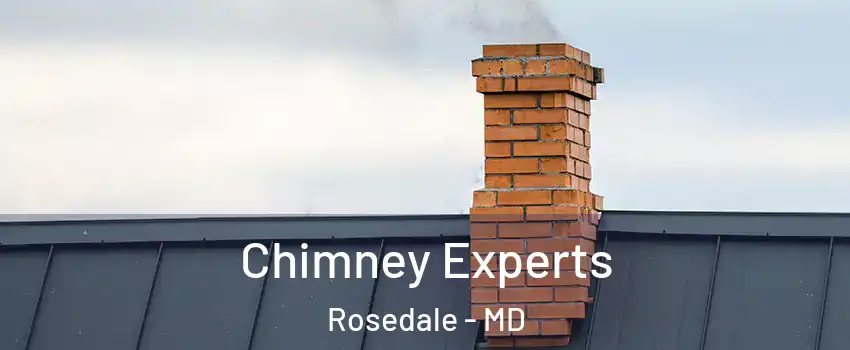 Chimney Experts Rosedale - MD