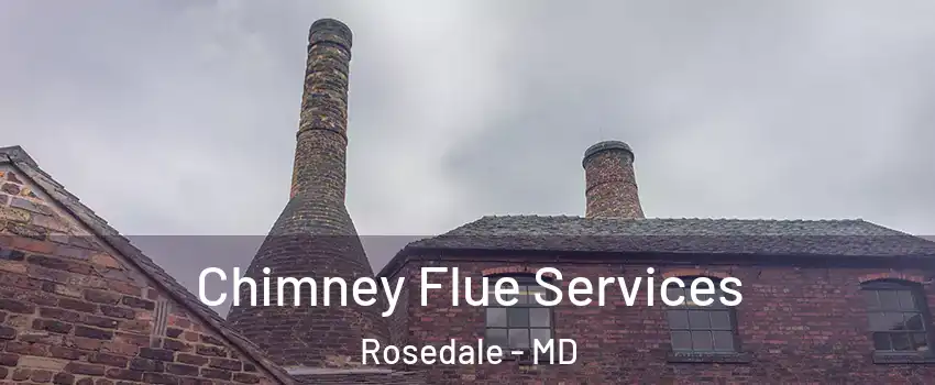  Chimney Flue Services Rosedale - MD