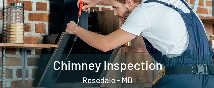  Chimney Inspection Rosedale - MD