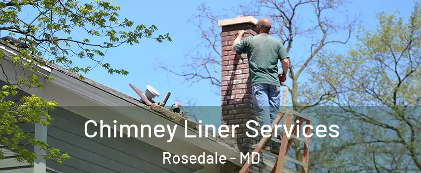  Chimney Liner Services Rosedale - MD