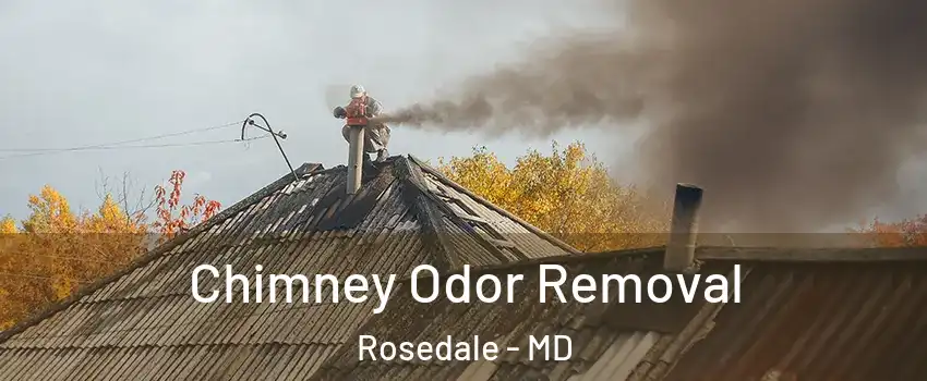  Chimney Odor Removal Rosedale - MD