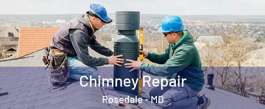  Chimney Repair Rosedale - MD