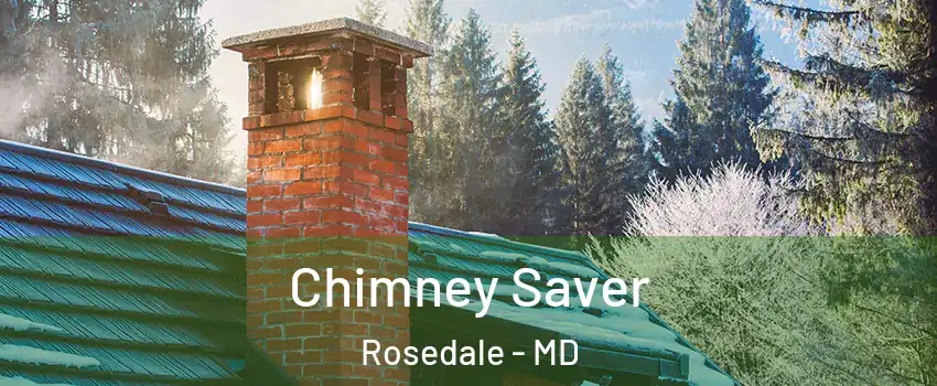  Chimney Saver Rosedale - MD