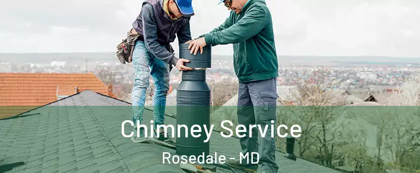  Chimney Service Rosedale - MD