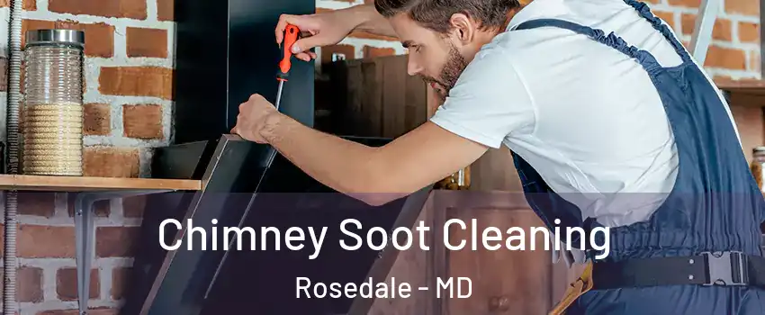  Chimney Soot Cleaning Rosedale - MD