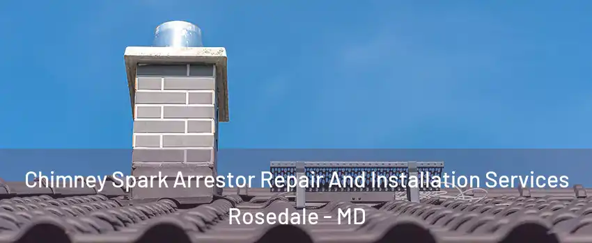  Chimney Spark Arrestor Repair And Installation Services Rosedale - MD