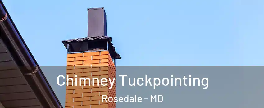  Chimney Tuckpointing Rosedale - MD