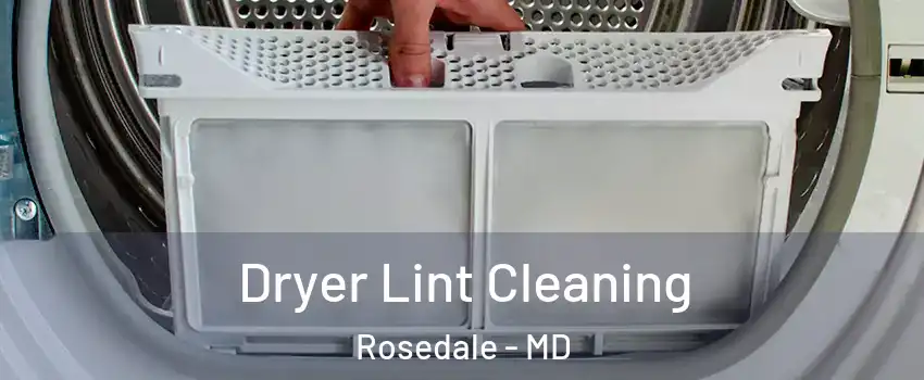  Dryer Lint Cleaning Rosedale - MD