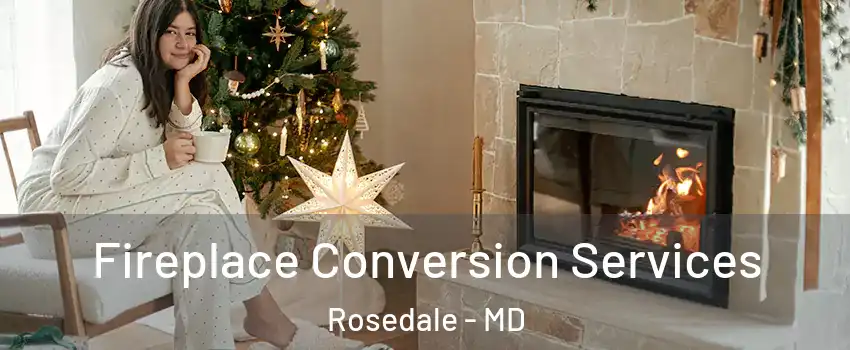  Fireplace Conversion Services Rosedale - MD
