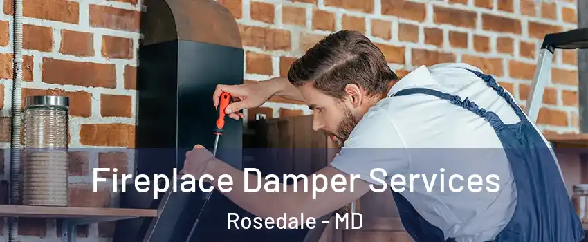  Fireplace Damper Services Rosedale - MD