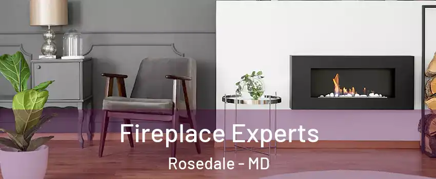  Fireplace Experts Rosedale - MD