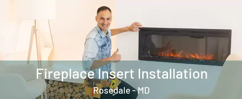  Fireplace Insert Installation Rosedale - MD