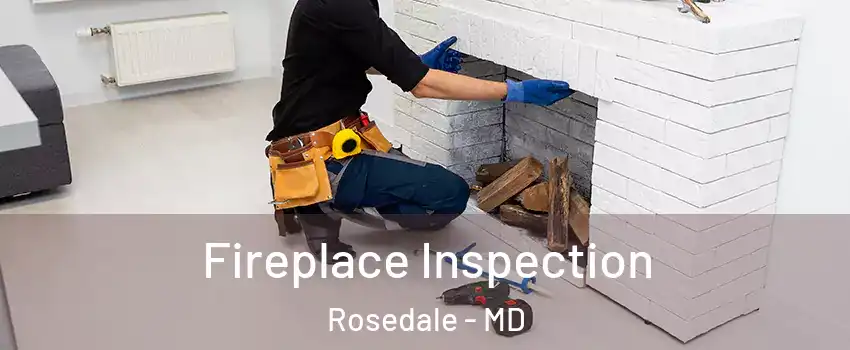  Fireplace Inspection Rosedale - MD