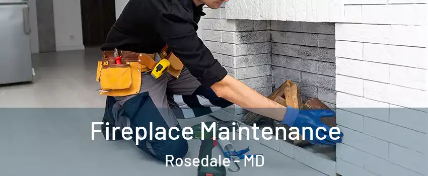  Fireplace Maintenance Rosedale - MD