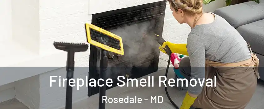  Fireplace Smell Removal Rosedale - MD