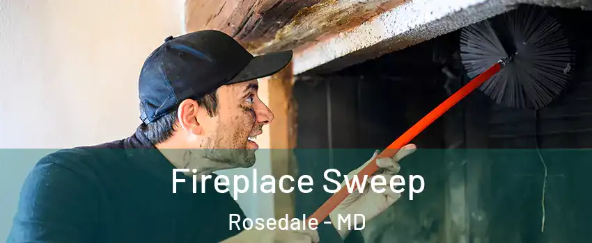  Fireplace Sweep Rosedale - MD