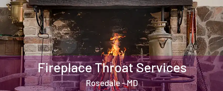  Fireplace Throat Services Rosedale - MD