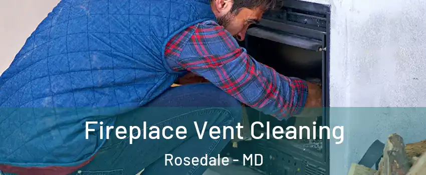  Fireplace Vent Cleaning Rosedale - MD