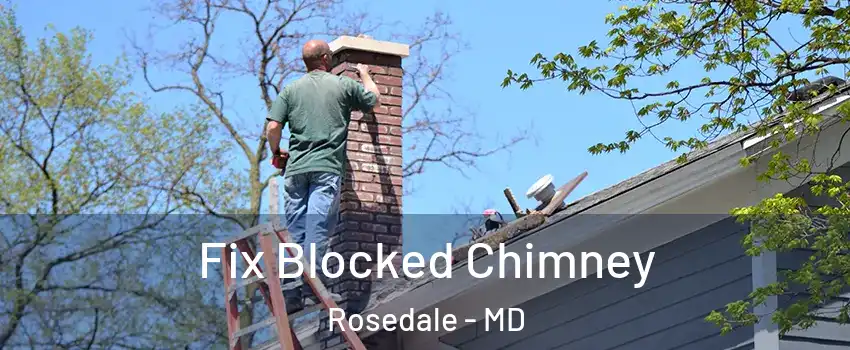  Fix Blocked Chimney Rosedale - MD