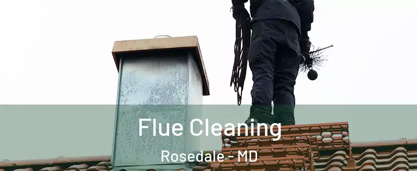  Flue Cleaning Rosedale - MD