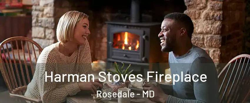  Harman Stoves Fireplace Rosedale - MD