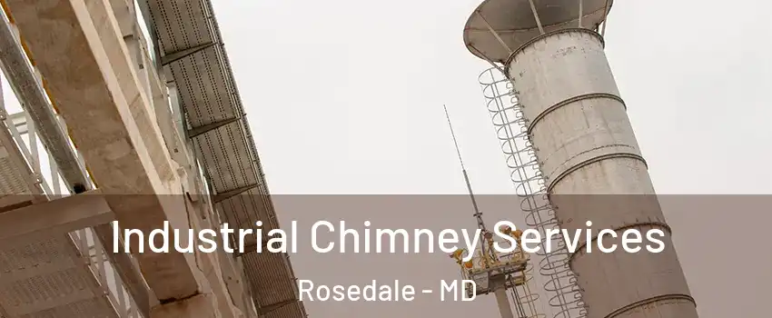  Industrial Chimney Services Rosedale - MD
