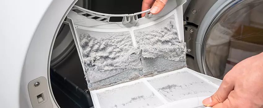 Best Dryer Lint Removal Company in Rosedale, Maryland