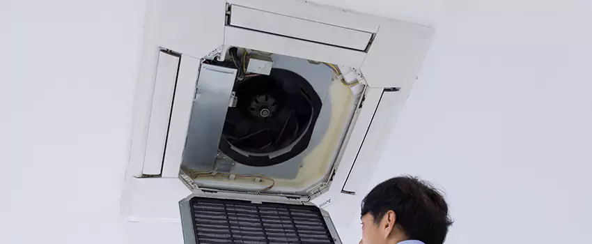 Benefits of Professional Air Duct Cleaning in Rosedale, Maryland