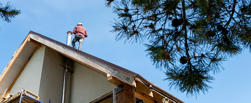 Birds Removal Contractors from Chimney in Rosedale, MD