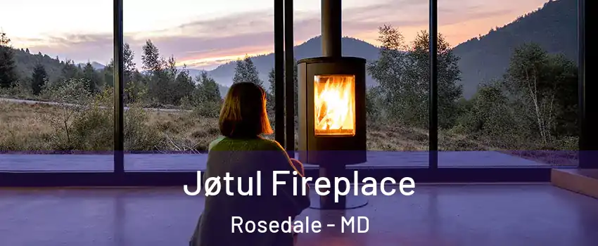  Jøtul Fireplace Rosedale - MD
