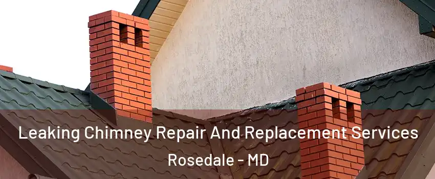  Leaking Chimney Repair And Replacement Services Rosedale - MD