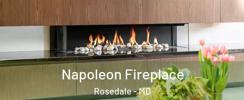  Napoleon Fireplace Rosedale - MD