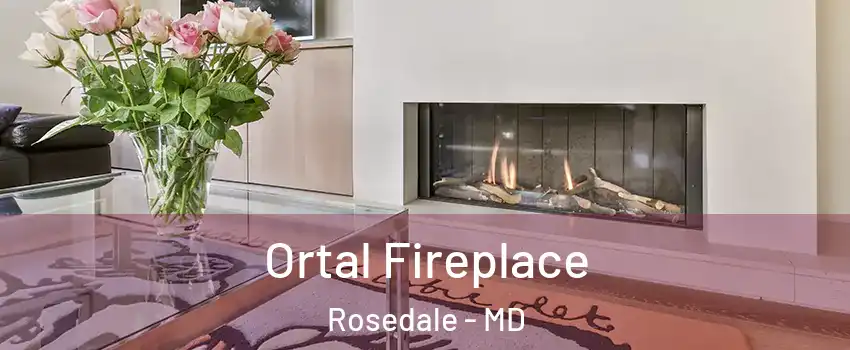  Ortal Fireplace Rosedale - MD