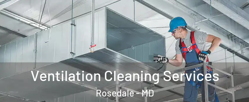  Ventilation Cleaning Services Rosedale - MD